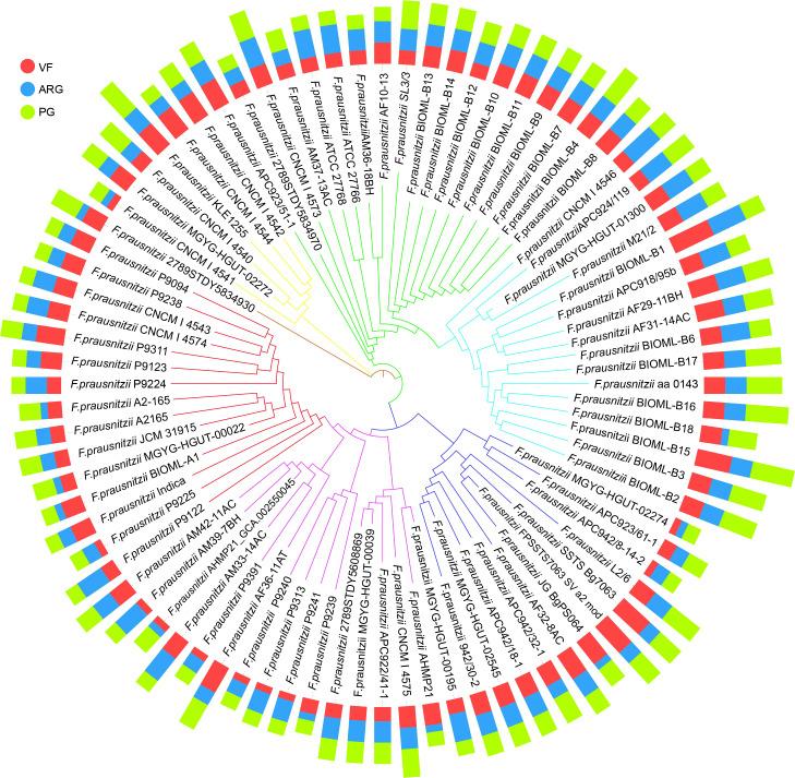 https://cdn.ncbi.nlm.nih.gov/pmc/blobs/11c6/9846645/88e988e57fad/fcimb-12-919701-g005.jpg