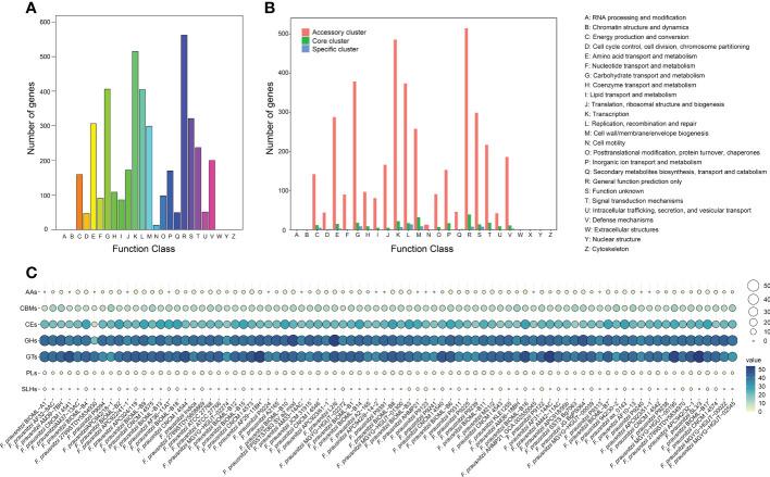 https://cdn.ncbi.nlm.nih.gov/pmc/blobs/11c6/9846645/a79758c0bd9c/fcimb-12-919701-g002.jpg