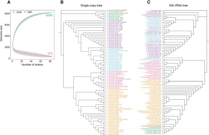 https://cdn.ncbi.nlm.nih.gov/pmc/blobs/11c6/9846645/b702d52e3d8e/fcimb-12-919701-g001.jpg