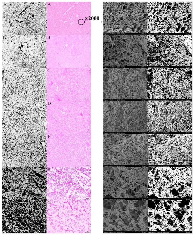 https://cdn.ncbi.nlm.nih.gov/pmc/blobs/11cc/10094032/b6098128cdd9/foods-12-01444-g002.jpg