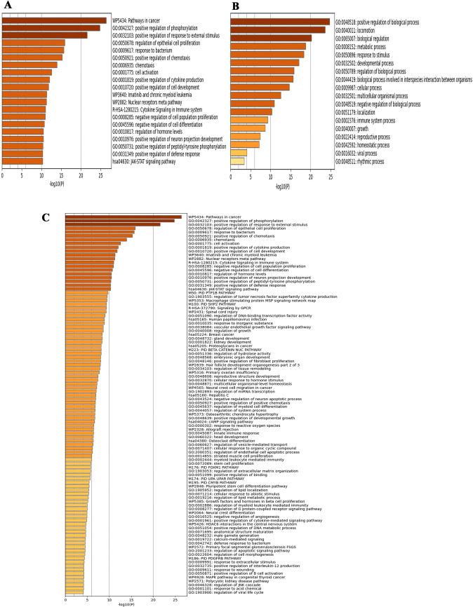 https://cdn.ncbi.nlm.nih.gov/pmc/blobs/11ce/11655935/3bbc96014890/12672_2024_1641_Fig5_HTML.jpg