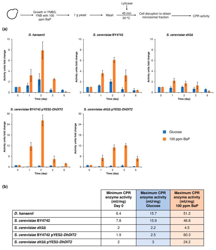 https://cdn.ncbi.nlm.nih.gov/pmc/blobs/11ce/9698926/0c74d25edd1c/jof-08-01150-g008.jpg
