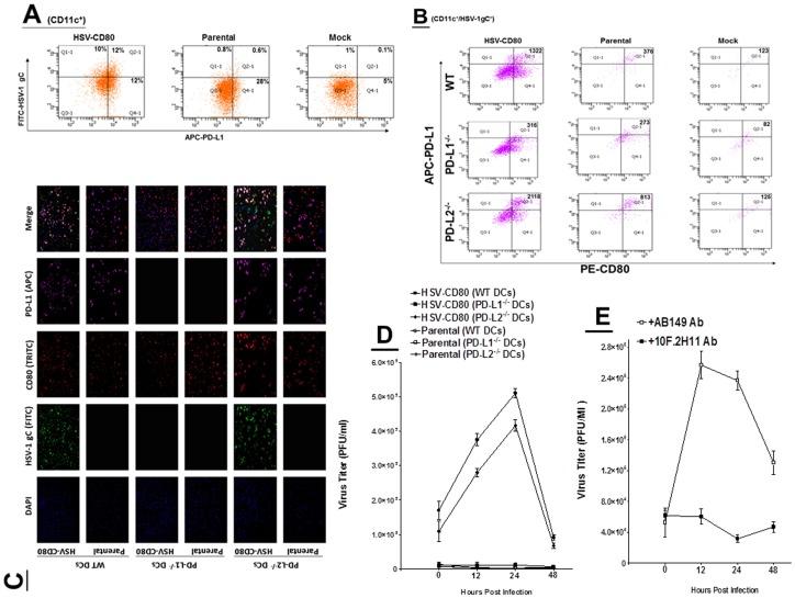 https://cdn.ncbi.nlm.nih.gov/pmc/blobs/11cf/3903765/fd6362fb67bf/pone.0087617.g006.jpg