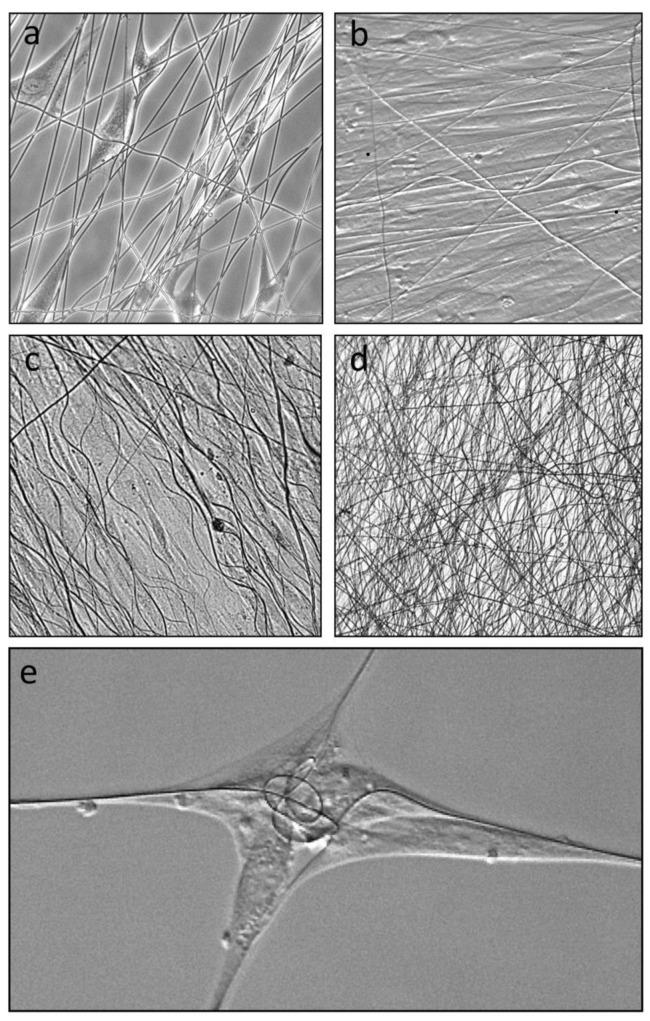 https://cdn.ncbi.nlm.nih.gov/pmc/blobs/11cf/7825689/8b6ddafe2de7/bioengineering-08-00007-g002.jpg