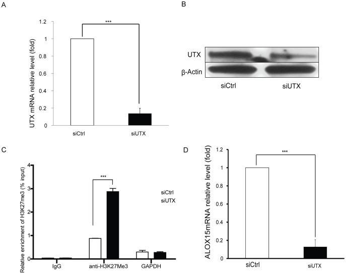 https://cdn.ncbi.nlm.nih.gov/pmc/blobs/11d1/3896354/c55d880891bc/pone.0085085.g003.jpg