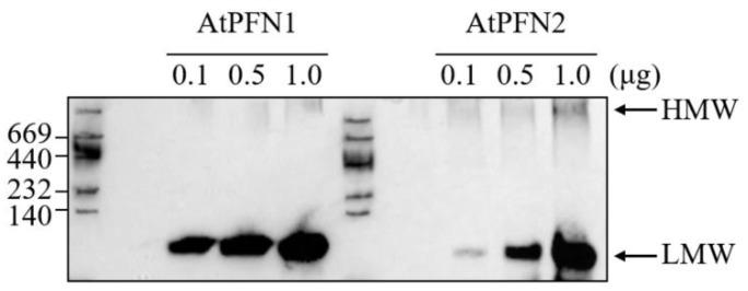 https://cdn.ncbi.nlm.nih.gov/pmc/blobs/11d4/9504416/351b48e3bc48/molecules-27-05771-g003.jpg