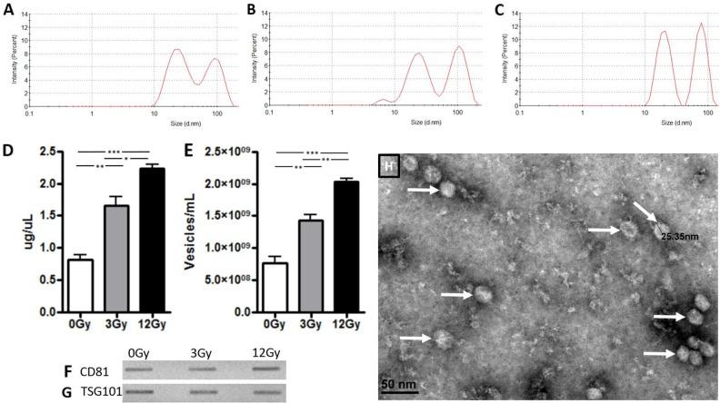 https://cdn.ncbi.nlm.nih.gov/pmc/blobs/11da/6281426/b0c7d13bdcc6/oncotarget-09-36083-g001.jpg