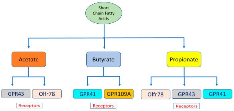 https://cdn.ncbi.nlm.nih.gov/pmc/blobs/11dc/8431784/179253f240b2/ijms-22-09641-g001.jpg