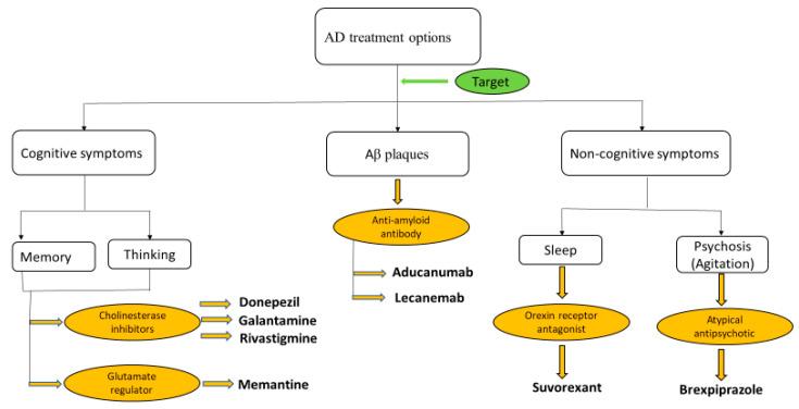 https://cdn.ncbi.nlm.nih.gov/pmc/blobs/11dd/11351951/c8c7d6d4eb52/antioxidants-13-00926-g007.jpg