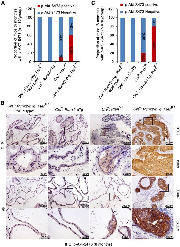 https://cdn.ncbi.nlm.nih.gov/pmc/blobs/11df/6587168/29a4a7220c72/thnov09p3459g004.jpg