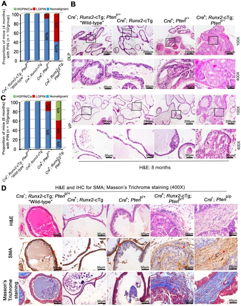 https://cdn.ncbi.nlm.nih.gov/pmc/blobs/11df/6587168/d6d879241487/thnov09p3459g002.jpg
