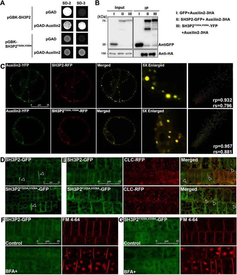 https://cdn.ncbi.nlm.nih.gov/pmc/blobs/11df/9225624/d4cdc0b9adc4/KAUP_A_1976965_F0007_OC.jpg