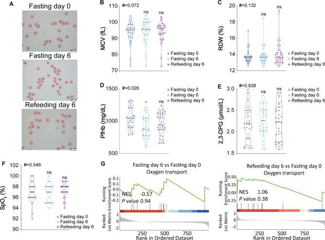 https://cdn.ncbi.nlm.nih.gov/pmc/blobs/11e0/10469874/8c3e2158d80e/12979_2023_359_Fig5_HTML.jpg