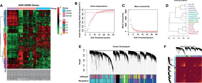 https://cdn.ncbi.nlm.nih.gov/pmc/blobs/11e0/8716600/2a49b068ea16/fonc-11-783868-g001.jpg