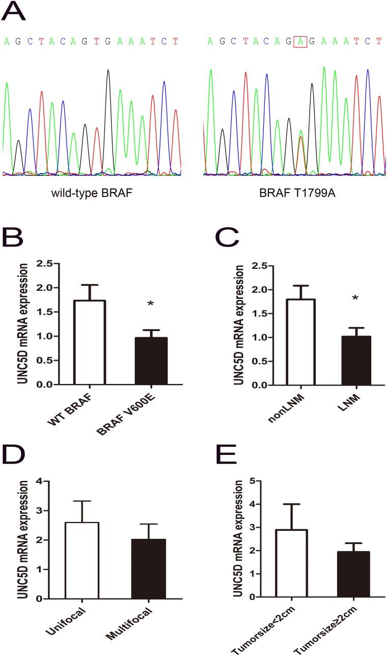 https://cdn.ncbi.nlm.nih.gov/pmc/blobs/11e2/5707086/a0402a95d65e/oncotarget-08-96126-g002.jpg