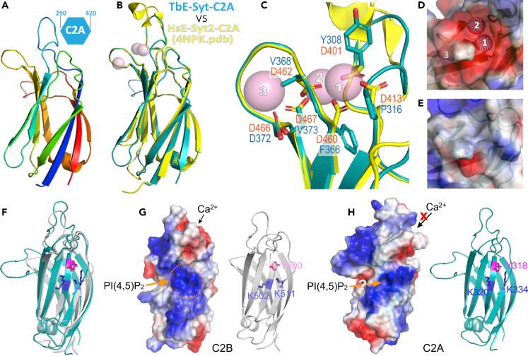 https://cdn.ncbi.nlm.nih.gov/pmc/blobs/11e2/8093936/0ed56bb4031e/gr6.jpg