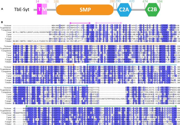 https://cdn.ncbi.nlm.nih.gov/pmc/blobs/11e2/8093936/18ae1ee6f4ad/gr1.jpg