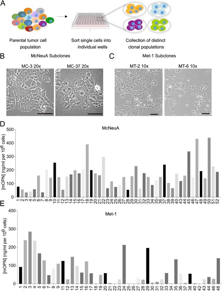 https://cdn.ncbi.nlm.nih.gov/pmc/blobs/11e4/5999218/631b0395d448/pone.0198790.g002.jpg