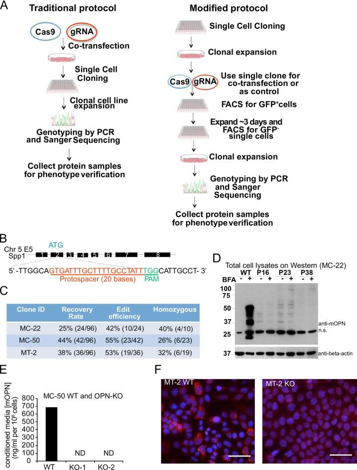 https://cdn.ncbi.nlm.nih.gov/pmc/blobs/11e4/5999218/a0e9385ca214/pone.0198790.g004.jpg
