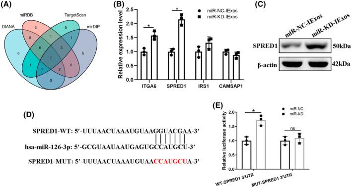 https://cdn.ncbi.nlm.nih.gov/pmc/blobs/11e5/10809290/ce5431bcd289/JDB-16-e13465-g009.jpg