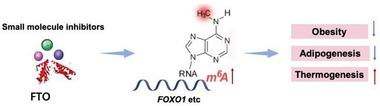 https://cdn.ncbi.nlm.nih.gov/pmc/blobs/11e6/7610318/f033f5318672/ADVS-7-2001563-g005.jpg
