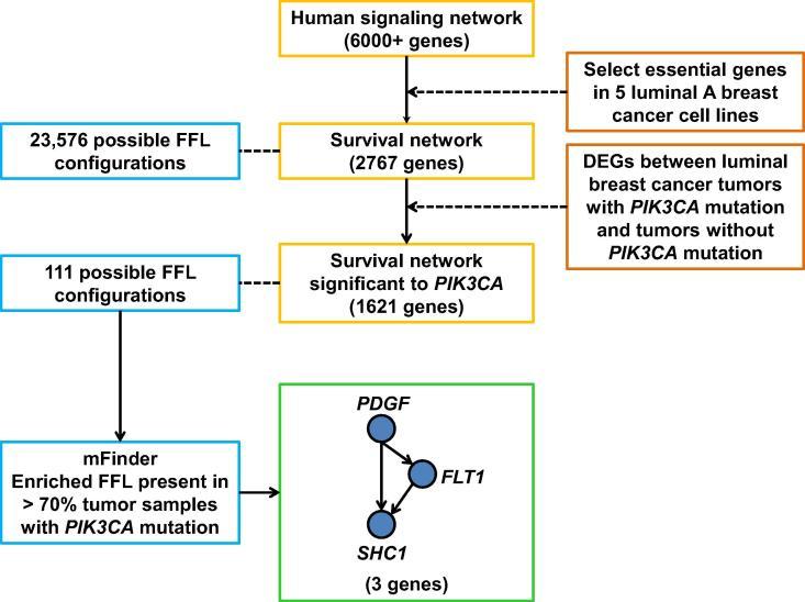 https://cdn.ncbi.nlm.nih.gov/pmc/blobs/11e7/5414713/961322077c88/gr4.jpg