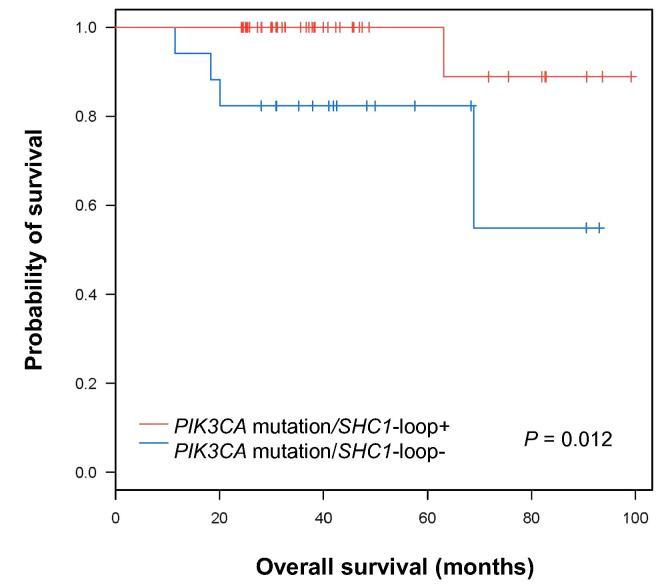https://cdn.ncbi.nlm.nih.gov/pmc/blobs/11e7/5414713/cac6805d3e5e/gr5.jpg
