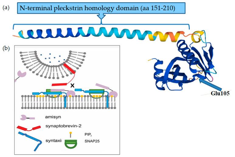 https://cdn.ncbi.nlm.nih.gov/pmc/blobs/11e8/10670990/e3f817e616ba/ijms-24-16436-g005.jpg