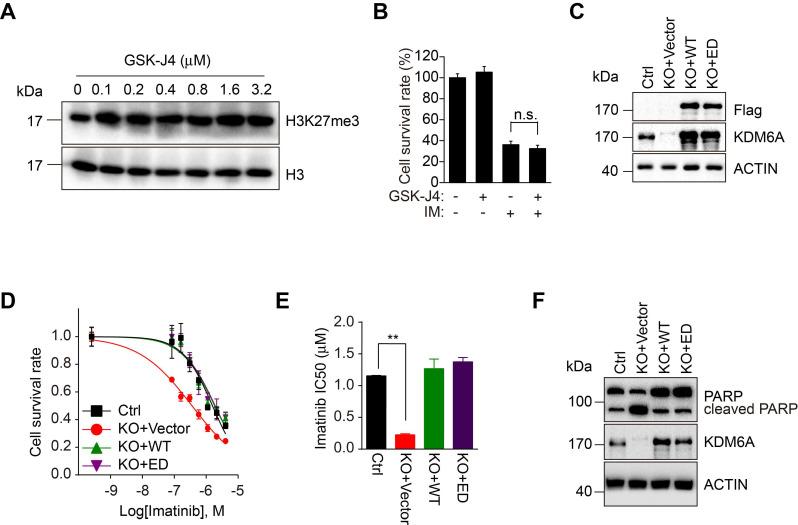 https://cdn.ncbi.nlm.nih.gov/pmc/blobs/11e8/7806474/e5da81a31c98/thnov11p2691g002.jpg