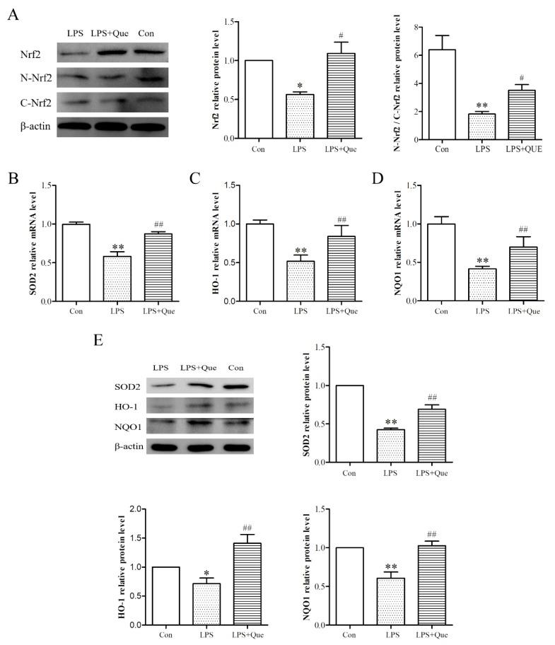 https://cdn.ncbi.nlm.nih.gov/pmc/blobs/11e9/7179181/5954f0752aa1/molecules-25-01053-g003.jpg