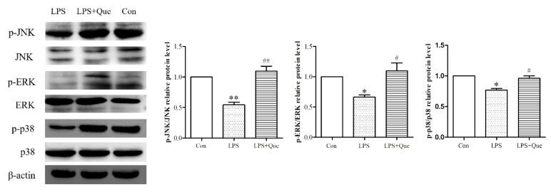 https://cdn.ncbi.nlm.nih.gov/pmc/blobs/11e9/7179181/c66a6cfaa0f5/molecules-25-01053-g004.jpg