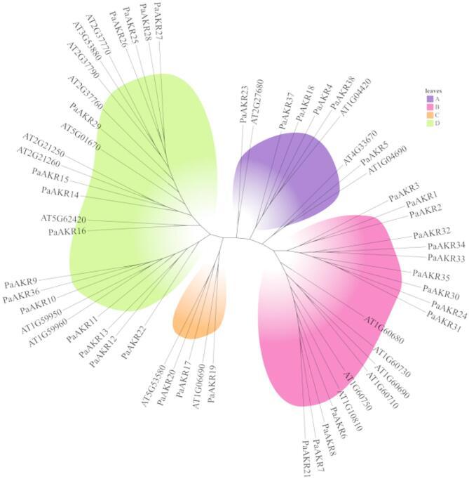 https://cdn.ncbi.nlm.nih.gov/pmc/blobs/11ec/12336331/290eeddfff6c/41598_2025_14284_Fig1_HTML.jpg