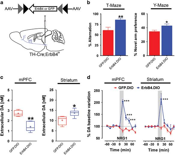 https://cdn.ncbi.nlm.nih.gov/pmc/blobs/11ec/6298980/726c0d510629/41380_2018_143_Fig5_HTML.jpg
