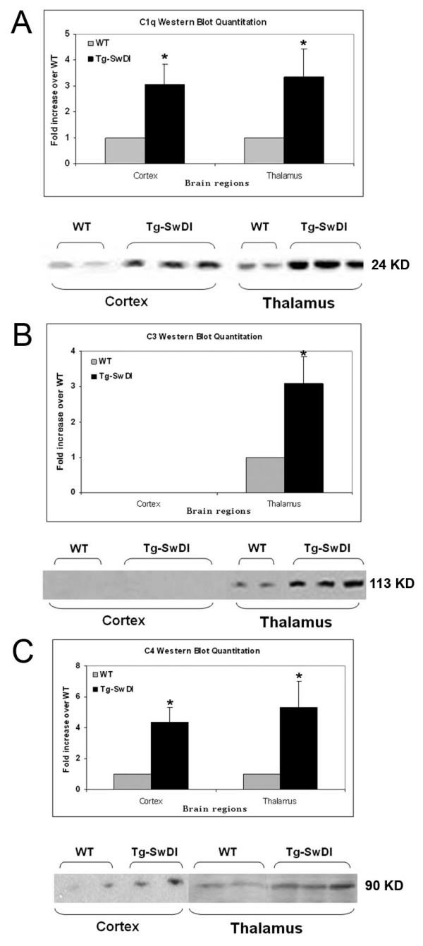 https://cdn.ncbi.nlm.nih.gov/pmc/blobs/11f0/2099424/9c228406ff3d/1742-2094-4-22-3.jpg
