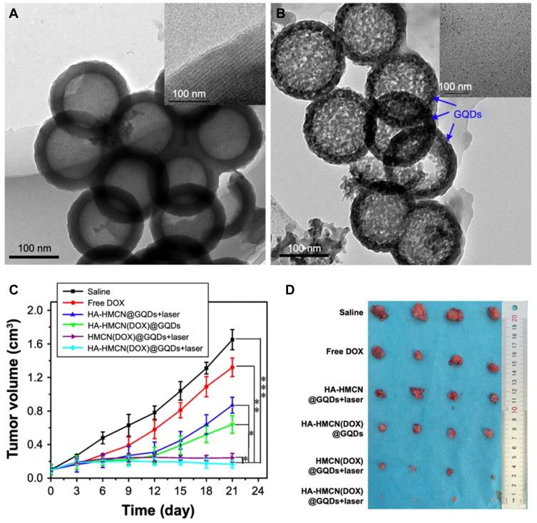 https://cdn.ncbi.nlm.nih.gov/pmc/blobs/11f5/7094149/d68f39adebf2/IJN-15-1903-g0002.jpg