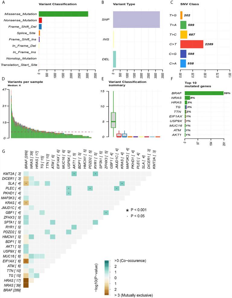 https://cdn.ncbi.nlm.nih.gov/pmc/blobs/11f5/8261145/6b3262b92ae2/fendo-12-674616-g002.jpg