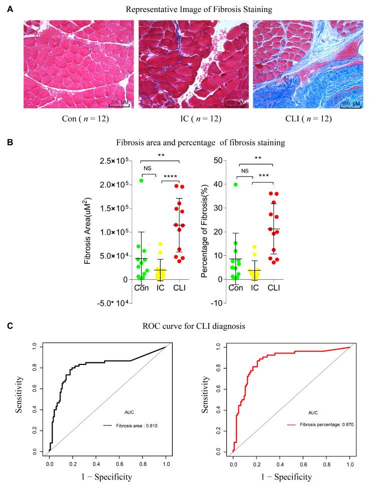 https://cdn.ncbi.nlm.nih.gov/pmc/blobs/11f6/7763090/58b260565396/jcm-09-03974-g006.jpg