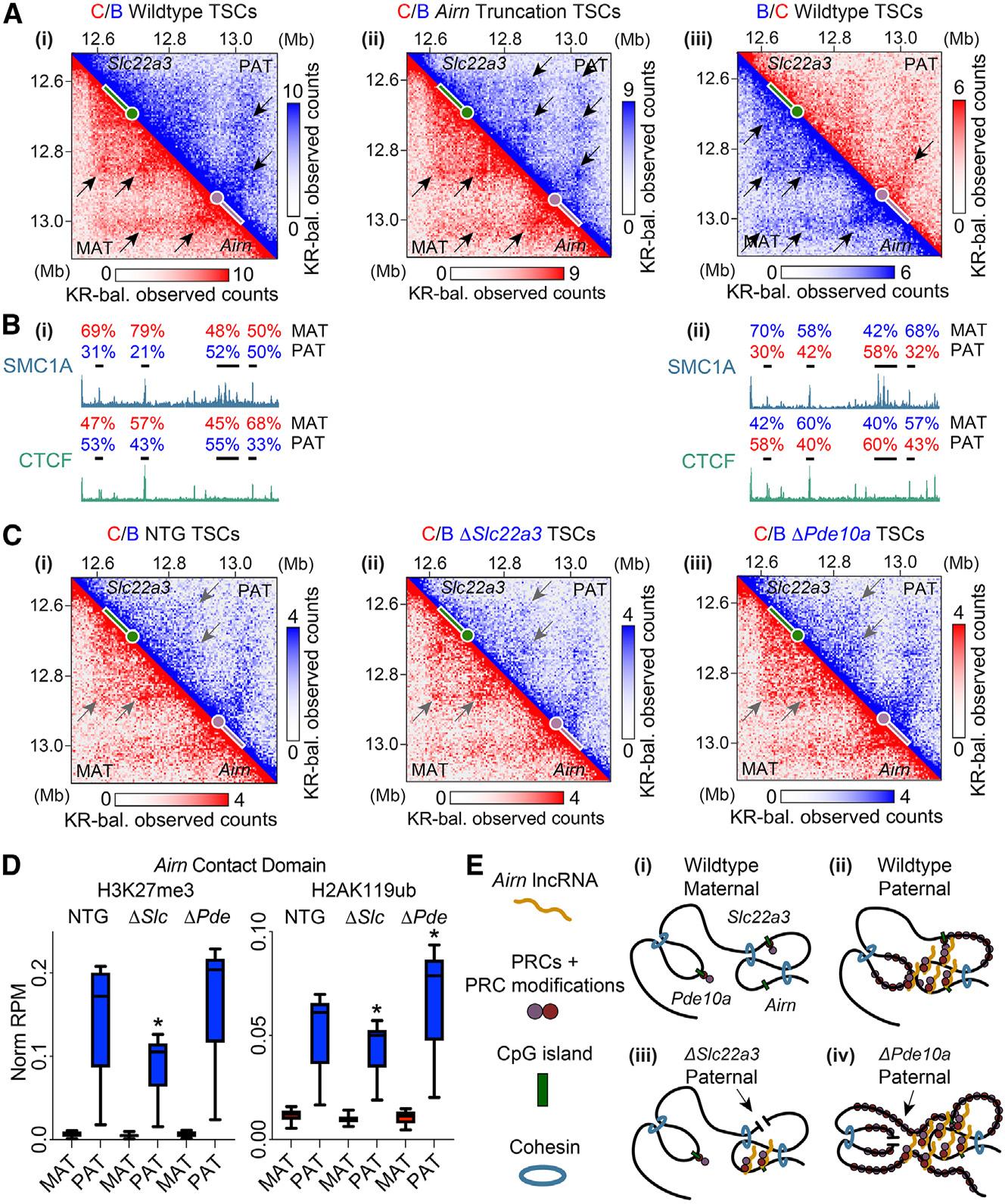 https://cdn.ncbi.nlm.nih.gov/pmc/blobs/11f7/10441531/293a0d77d919/nihms-1920515-f0008.jpg