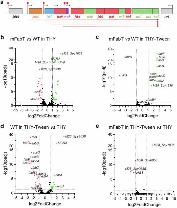 https://cdn.ncbi.nlm.nih.gov/pmc/blobs/11f7/11452403/6cb2800c6ee6/41467_2024_52637_Fig2_HTML.jpg