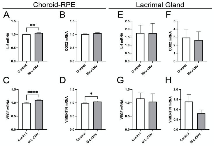 https://cdn.ncbi.nlm.nih.gov/pmc/blobs/11f7/12027898/3dd00e955cfb/ijms-26-03855-g004.jpg