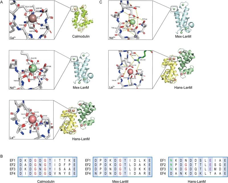 https://cdn.ncbi.nlm.nih.gov/pmc/blobs/11f8/11845868/f8d04c86b204/wrae241f5.jpg