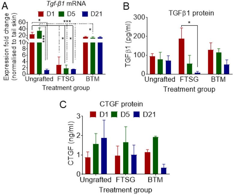 https://cdn.ncbi.nlm.nih.gov/pmc/blobs/11f9/10671506/759b95d47142/ijms-24-16277-g005.jpg