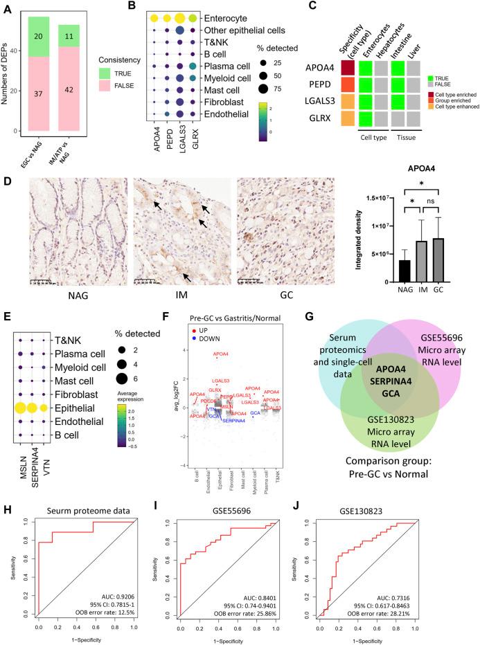 https://cdn.ncbi.nlm.nih.gov/pmc/blobs/11fb/10995311/2937578cf277/fmolb-11-1252058-g005.jpg