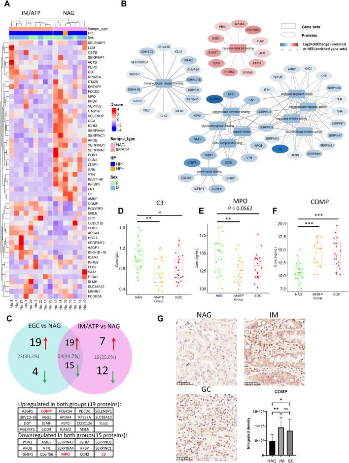 https://cdn.ncbi.nlm.nih.gov/pmc/blobs/11fb/10995311/8e636b3d8316/fmolb-11-1252058-g003.jpg