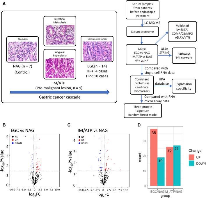 https://cdn.ncbi.nlm.nih.gov/pmc/blobs/11fb/10995311/e87d2521b9ef/fmolb-11-1252058-g001.jpg