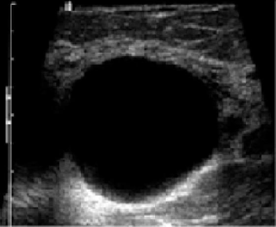 https://cdn.ncbi.nlm.nih.gov/pmc/blobs/11fb/6025760/4028fe17677a/JMAU-5-59-g007.jpg
