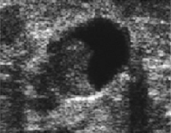 https://cdn.ncbi.nlm.nih.gov/pmc/blobs/11fb/6025760/60aca721df2a/JMAU-5-59-g010.jpg
