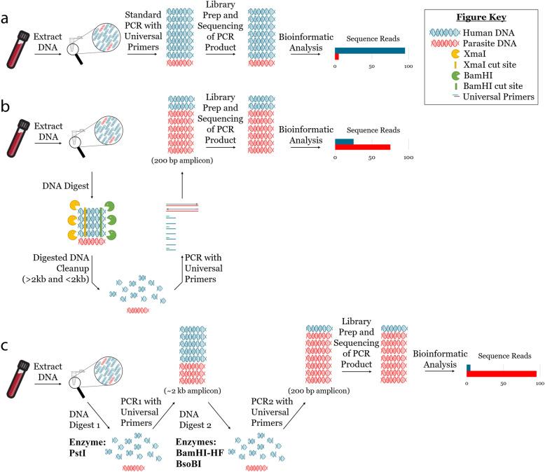 https://cdn.ncbi.nlm.nih.gov/pmc/blobs/1200/7778815/593b7754eab5/40168_2020_939_Fig1_HTML.jpg
