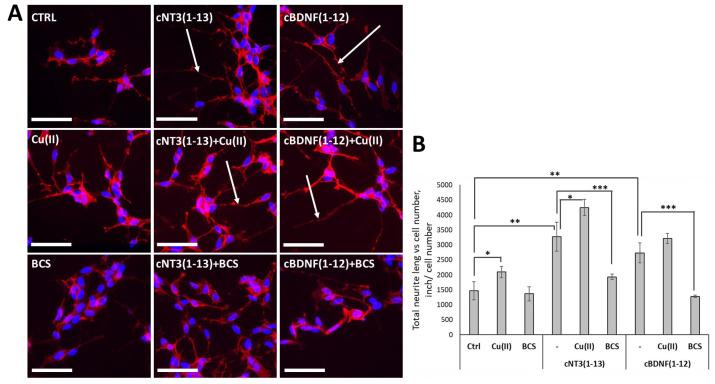 https://cdn.ncbi.nlm.nih.gov/pmc/blobs/1201/11430436/a13df61200bf/biomolecules-14-01104-g003.jpg