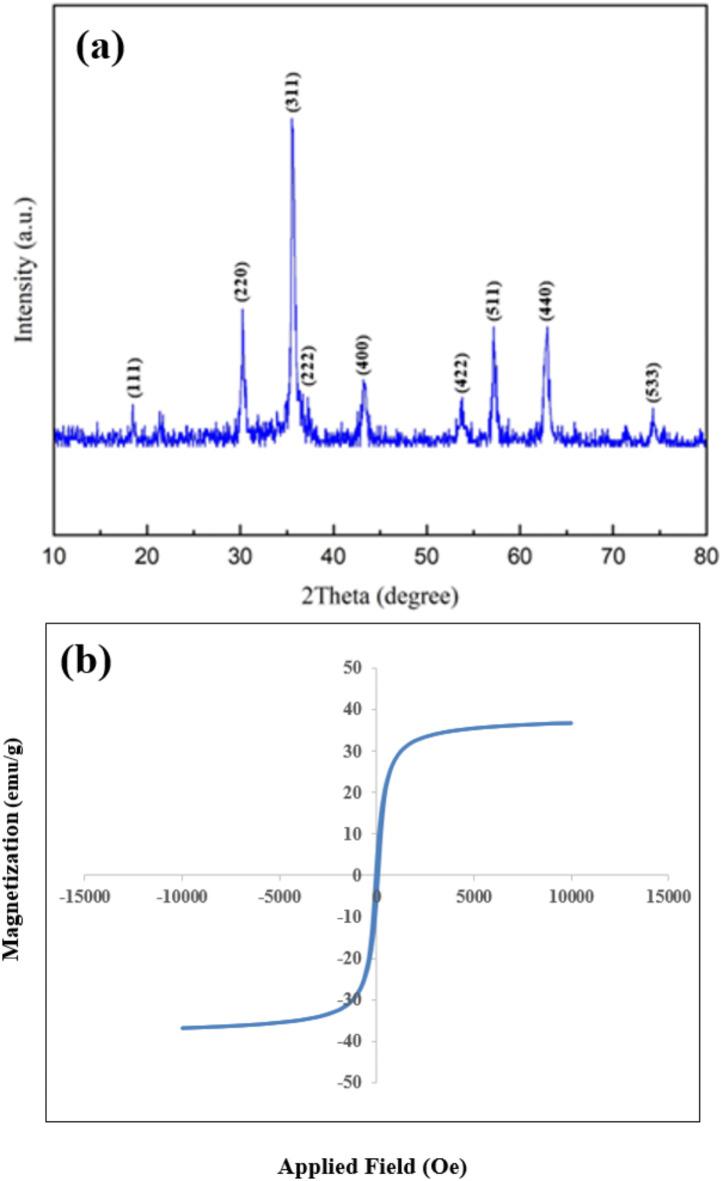 https://cdn.ncbi.nlm.nih.gov/pmc/blobs/1201/11873253/464ac1827869/41598_2025_92246_Fig3_HTML.jpg